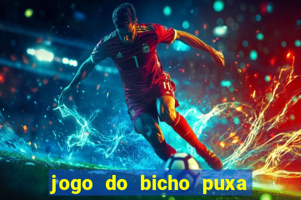 jogo do bicho puxa de dona maria